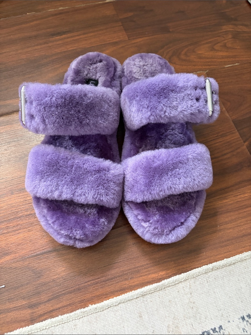 Ugg slides
